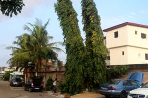 Photo Hacienda (12)